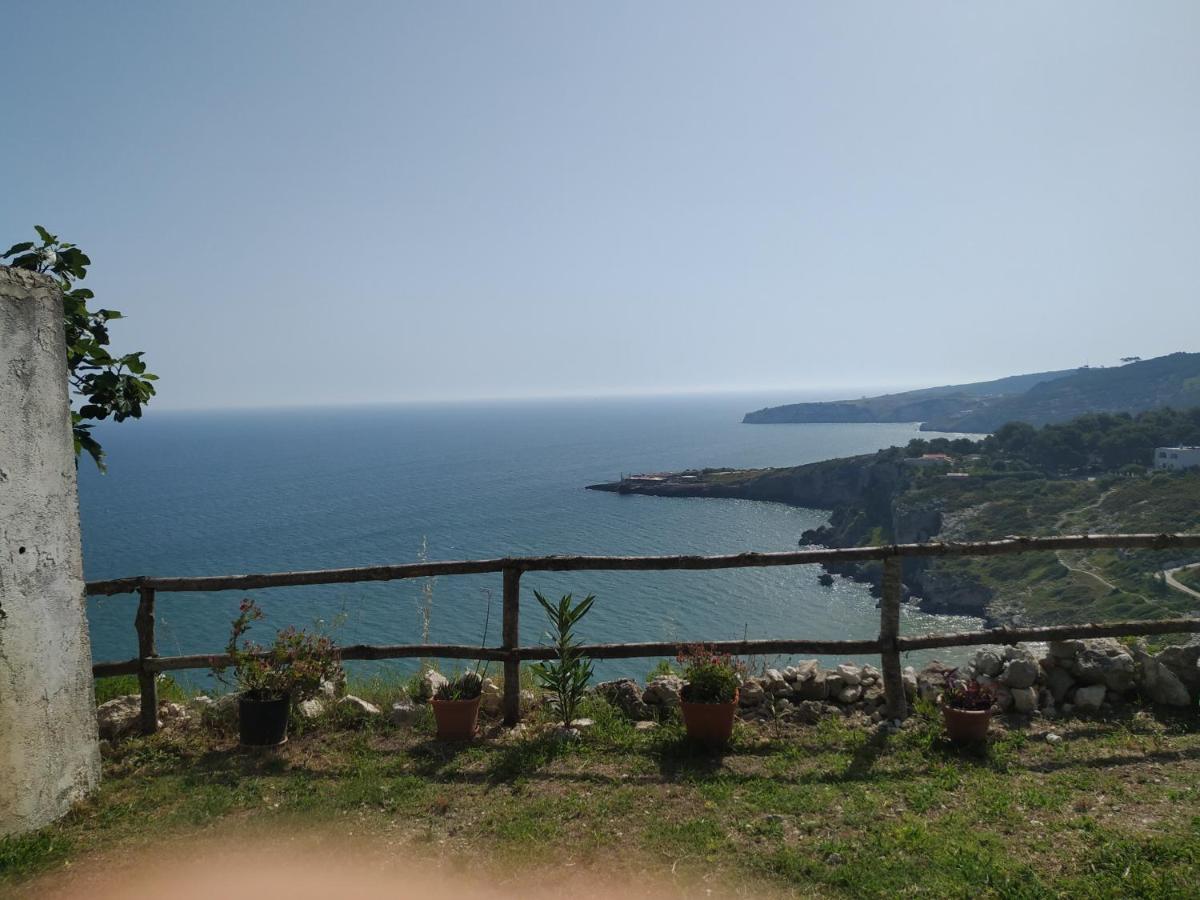 Casa De Sio Trilocale Διαμέρισμα Peschici Εξωτερικό φωτογραφία